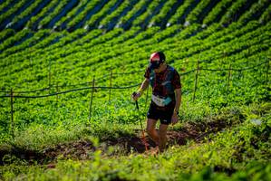 BIB: 316
                            <button type="button" onclick="openModal(19160465)" class="btn btn-primary btn-sm float-right btn-popup" data-toggle="modal" data-target=".modal-high-quality">
                        <i class="fas fa-shopping-cart"></i> Add to Cart
                    </button>
                                            <button type="button" onclick="isThisMe(19160465, true)" class="btn btn-success btn-sm float-right btn-popup btn-isme hidden" data-toggle="tooltip" data-placement="bottom" title="นี่คือรูปของคุณใช่ไหม คลิกที่นี่เพื่อเอาเข้าอัลบั้ม">
                        <i class="fas fa-plus"></i> Add to album
                    </button>
                    <button type="button" onclick="isThisMe(19160465, false)" class="btn btn-warning btn-sm float-right btn-popup btn-isnotme hidden">
                        <i class="fas fa-ban"></i> Remove from album
                    </button>